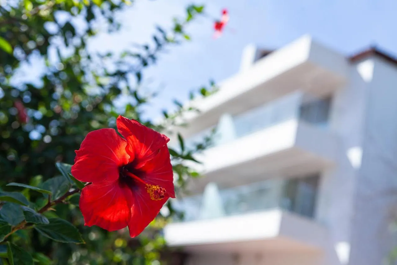 ****  Hotel Jerez & Spa Jerez de la Frontera Spain